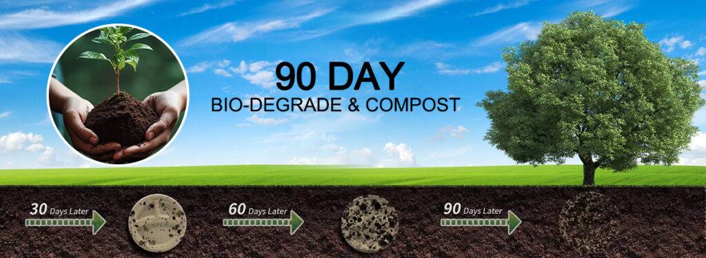 Bagasse material degradable environmental tableware factory